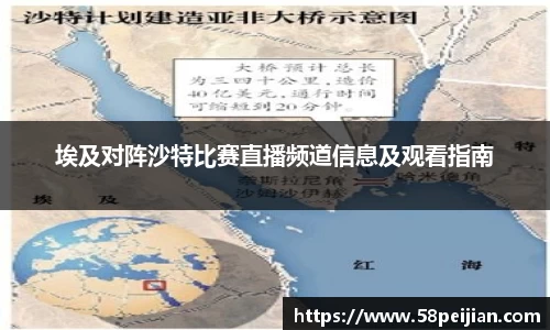 埃及对阵沙特比赛直播频道信息及观看指南